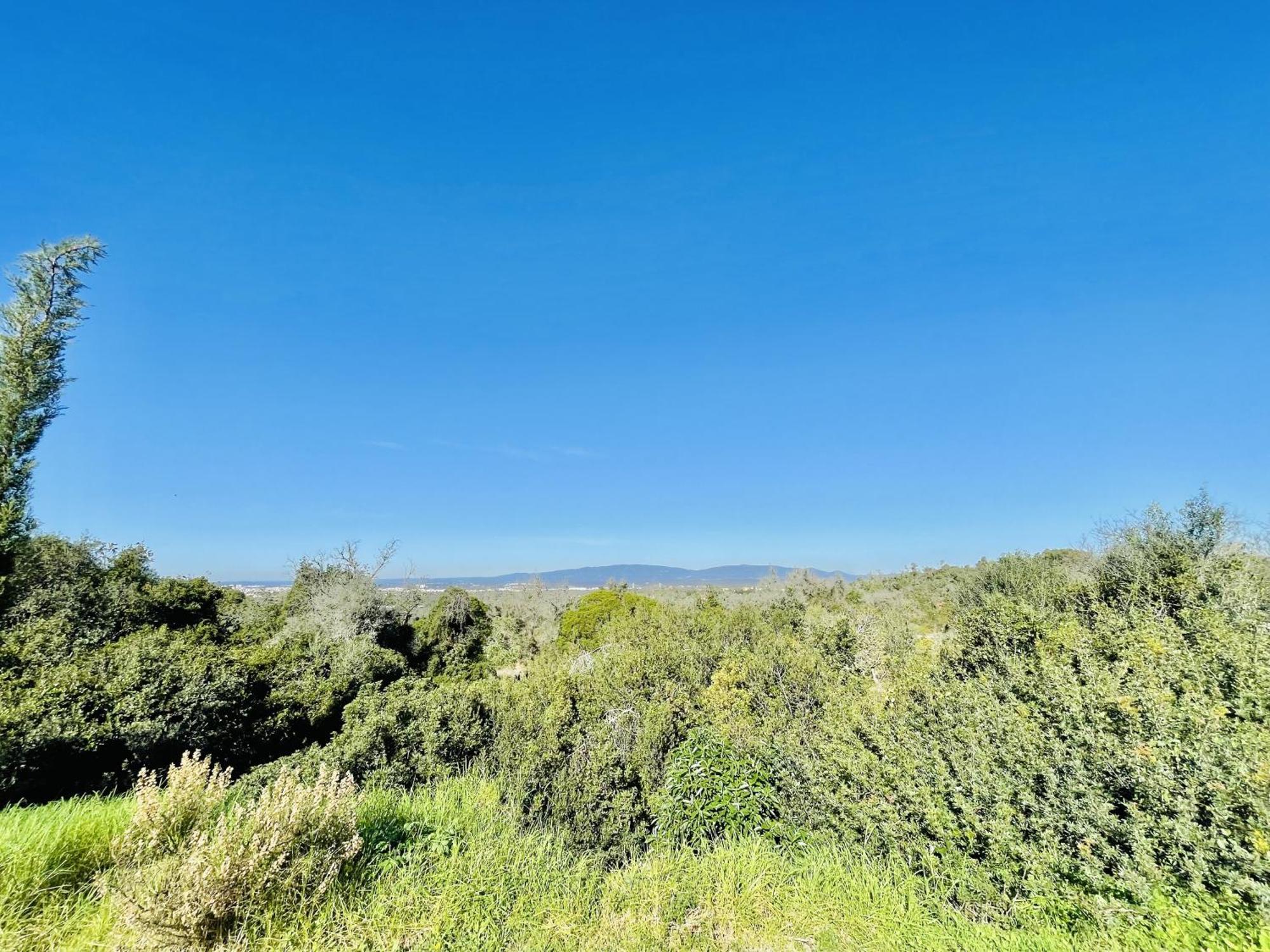 Lavanda - 2 Bedrooms - 3 Level Pool - Garden - Beach 1Km Estômbar Exterior foto